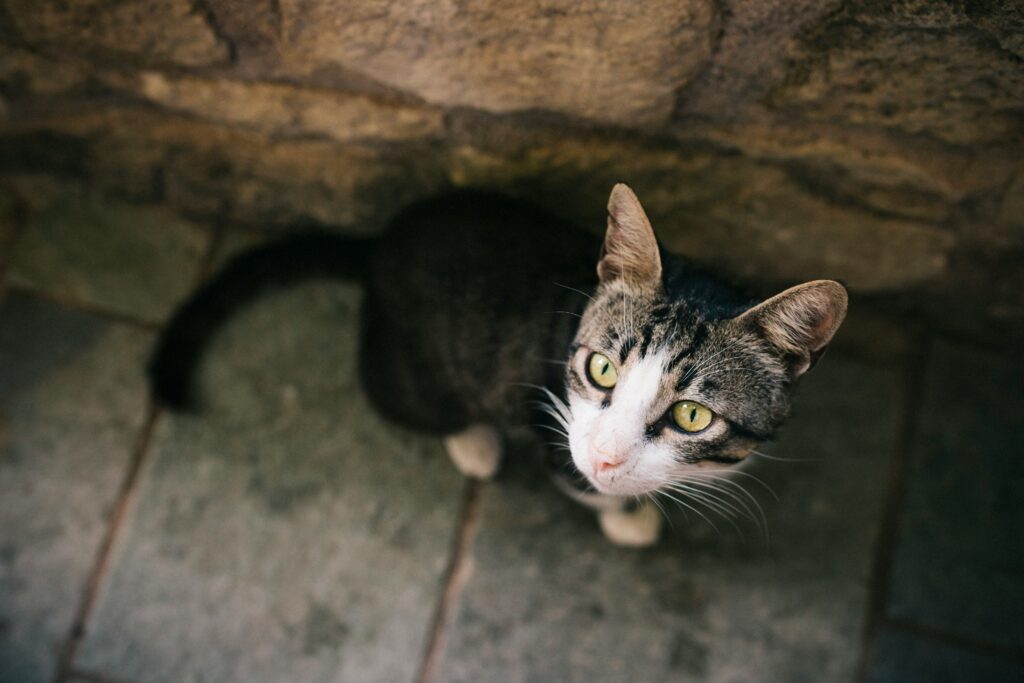 Quiénes somos marita mones hr7mzyjqxi4 unsplash